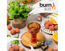 Табак Burn Bliss (Личи Мята) 25г Акцизный Табак Burn Bliss (Личи Мята) 25г Акцизный